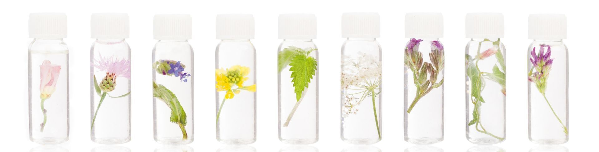 Fiche métier aromathérapeute : missions, formations et salaire 